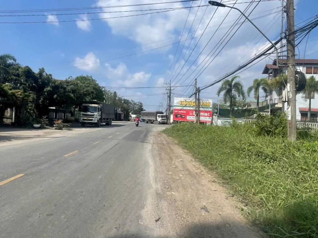 Bất động sản tại Long An - ảnh 1