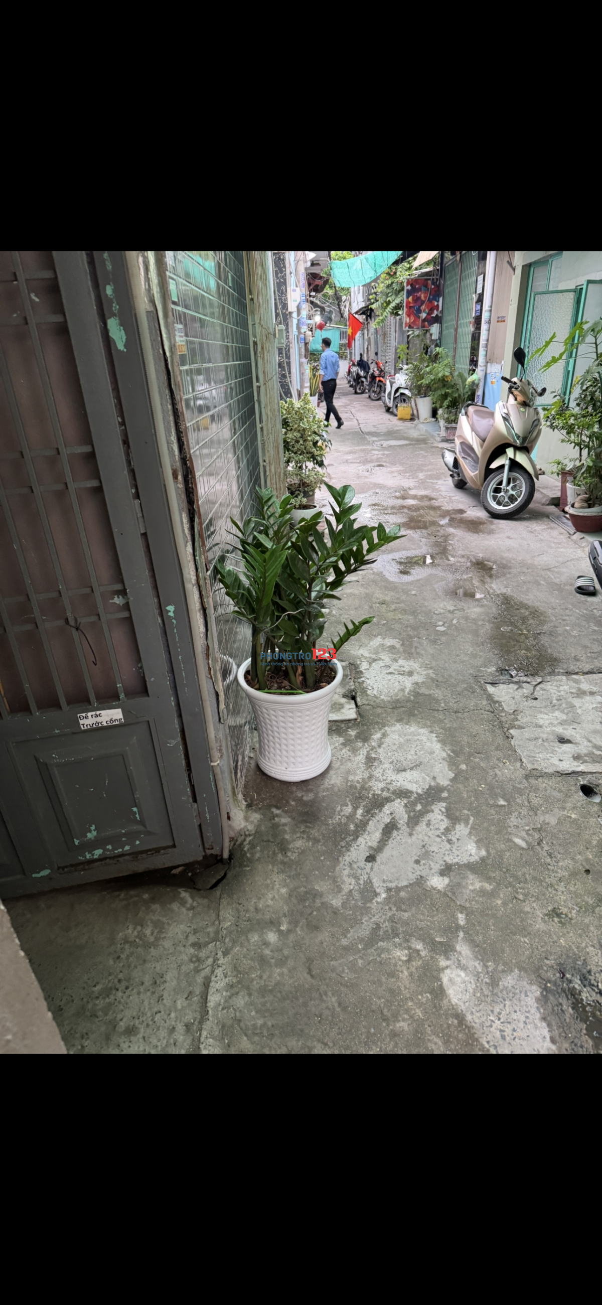 Bất động sản tại TP. Hồ Chí Minh - ảnh 1