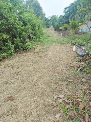 Bất động sản tại Long An - ảnh 1