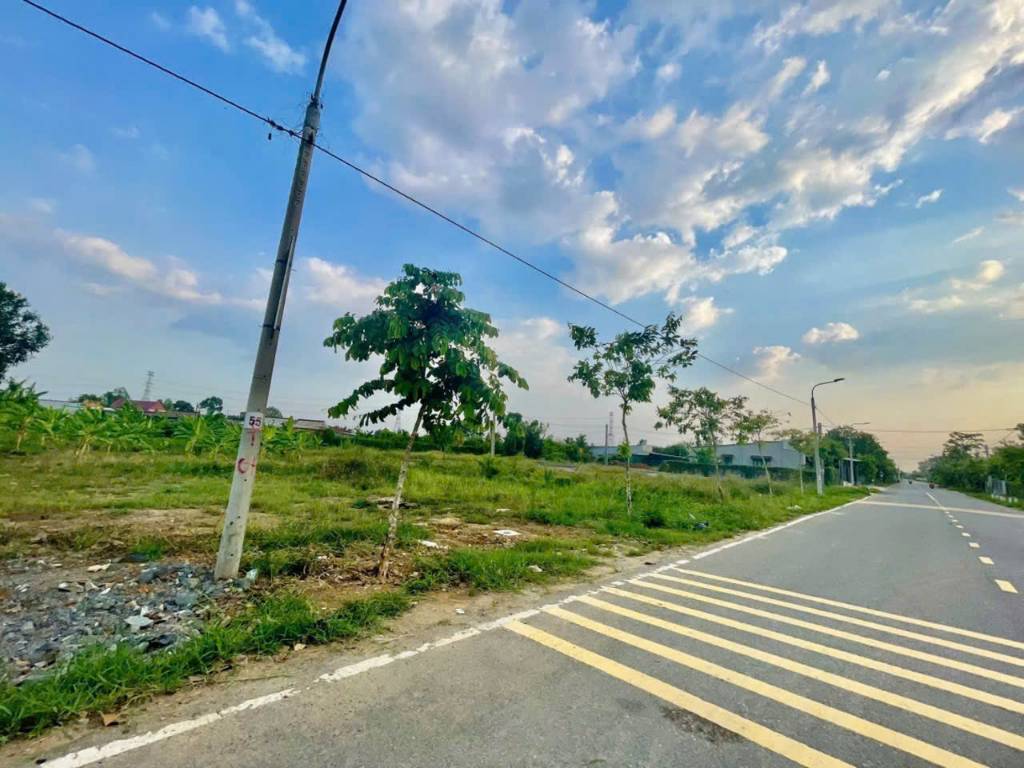 Bất động sản tại Đồng Nai - ảnh 1
