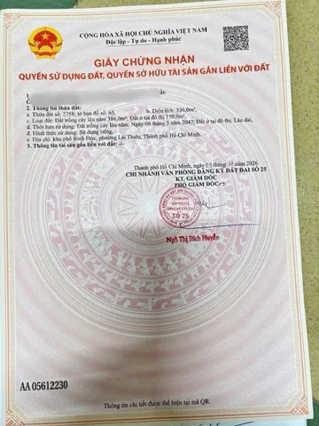 Bất động sản tại Bình Dương - ảnh 1