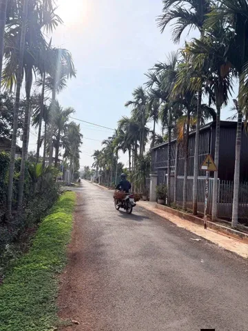 Bất động sản tại Đắk Lắk - ảnh 1