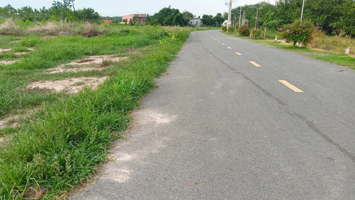 Bất động sản tại Bình Dương - ảnh 1