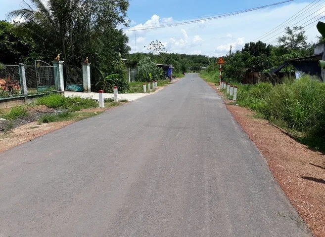 Bất động sản tại Bình Dương - ảnh 1