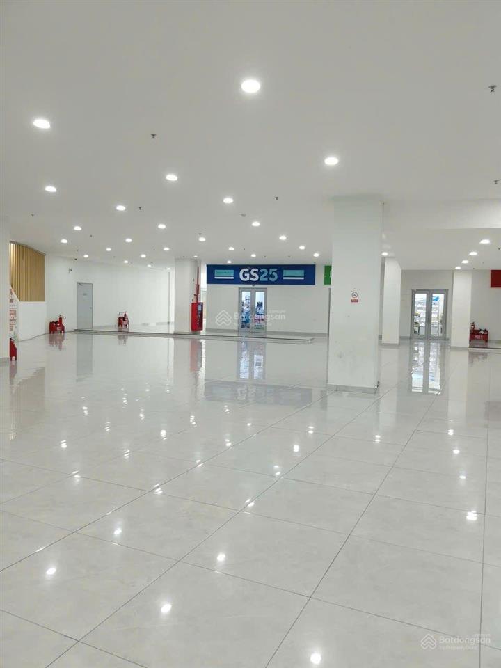 Bất động sản tại Bình Dương - ảnh 1