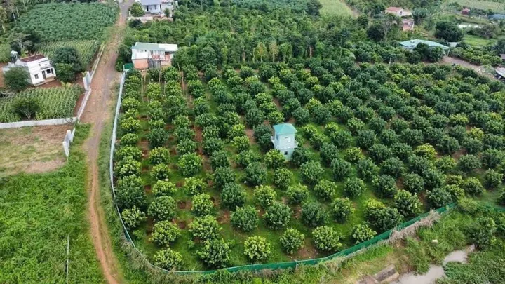 Bất động sản tại Đắk Lắk - ảnh 1