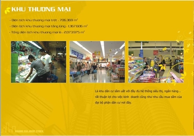 Căn hộ / chung cư tại Tân Phú, TP. Hồ Chí Minh - ảnh 3