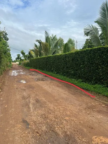 Bất động sản tại Đắk Lắk - ảnh 1