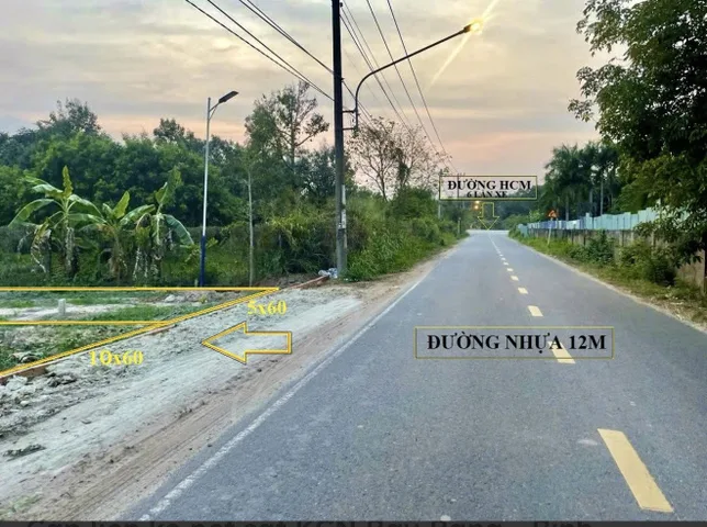 Bất động sản tại Bình Dương - ảnh 1