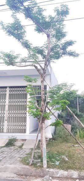 Bất động sản tại Đà Nẵng - ảnh 1