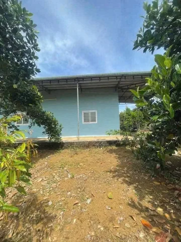 Bất động sản tại Lâm Đồng - ảnh 1