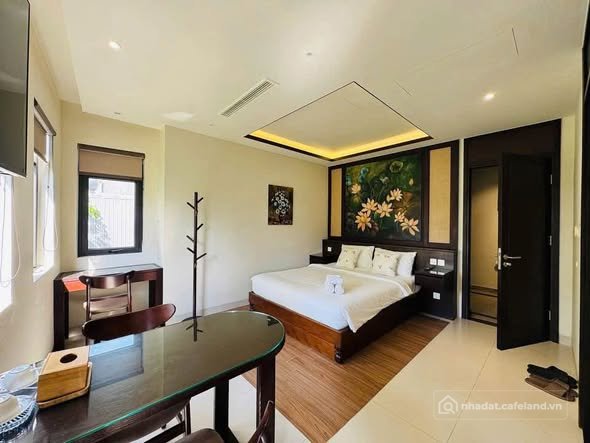 Bất động sản tại Đà Nẵng - ảnh 1