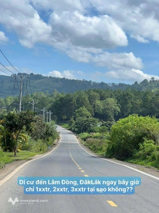 Bất động sản tại Lâm Đồng - ảnh 1