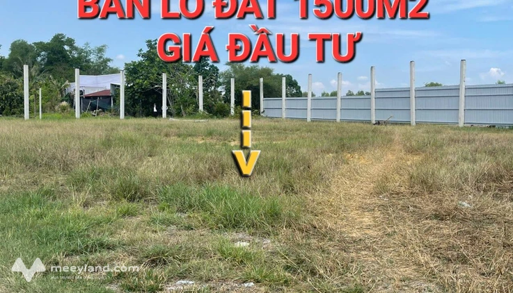 Bất động sản tại Long An - ảnh 1