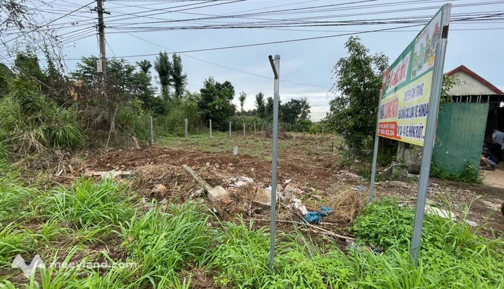 Bất động sản tại Đắk Lắk - ảnh 1