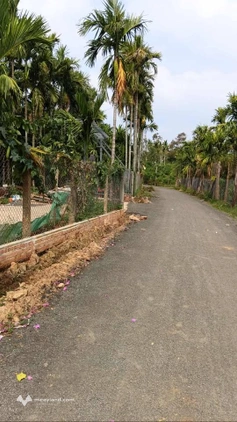 Bất động sản tại Đắk Lắk - ảnh 1