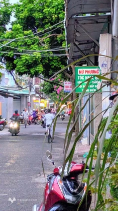 Bất động sản tại Bà Rịa - Vũng Tàu - ảnh 1