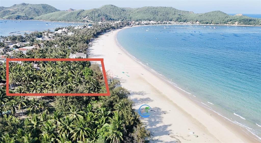 Bất động sản tại Phú Yên - ảnh 1