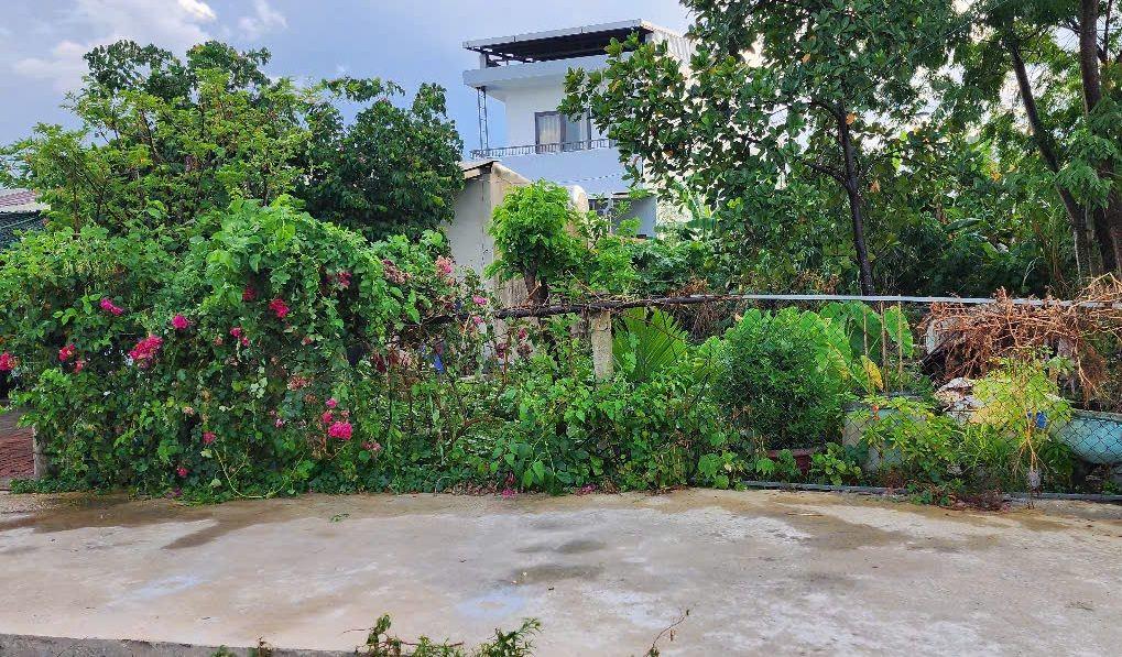 Bất động sản tại Đà Nẵng - ảnh 1