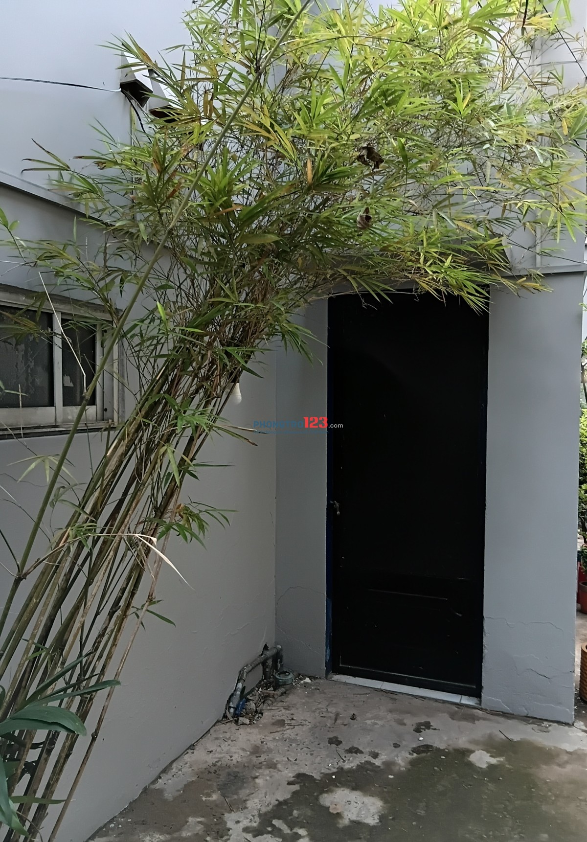 Bất động sản tại TP. Hồ Chí Minh - ảnh 1