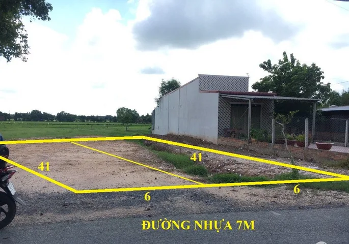 Bất động sản tại Bình Dương - ảnh 1
