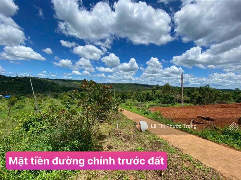 Bất động sản tại Đắk Nông - ảnh 1