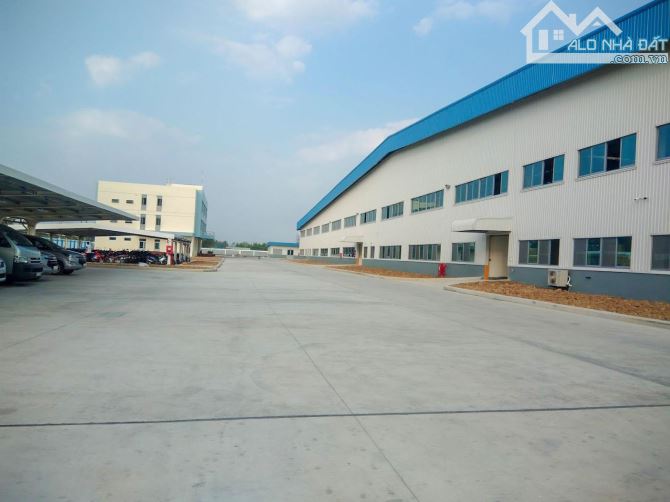 Bất động sản tại Bà Rịa - Vũng Tàu - ảnh 1