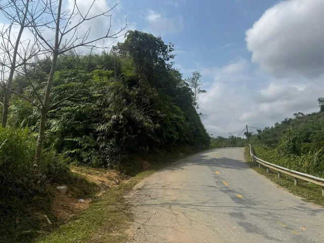 Bất động sản tại Đà Nẵng - ảnh 1