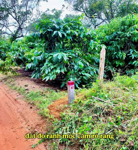 Bất động sản tại Đắk Lắk - ảnh 1