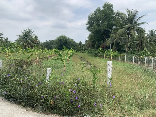 Bất động sản tại Tây Ninh - ảnh 1