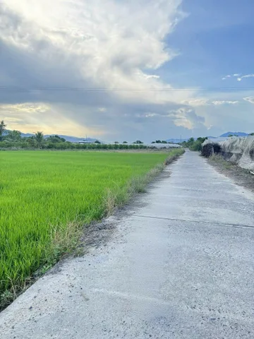 Bất động sản tại Khánh Hòa - ảnh 1