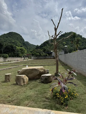 Bất động sản tại Phú Thọ - ảnh 1