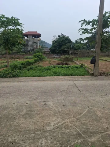 Bất động sản tại Phú Thọ - ảnh 1