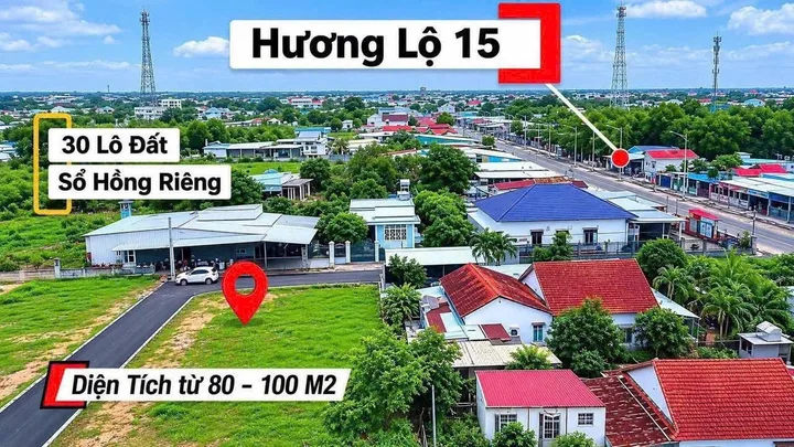 Bất động sản tại Đồng Nai - ảnh 1
