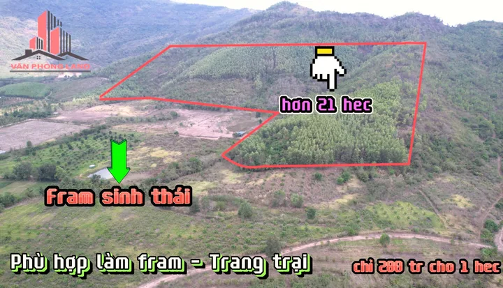 Bất động sản tại Khánh Hòa - ảnh 1