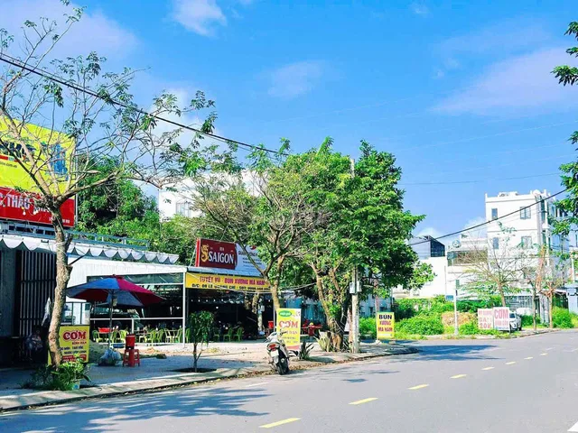 Bất động sản tại Đà Nẵng - ảnh 1