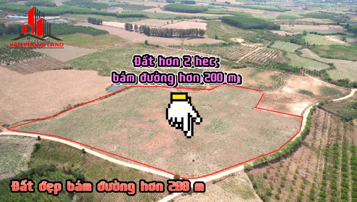Bất động sản tại Khánh Hòa - ảnh 1