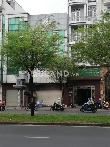 Bất động sản tại TP. Hồ Chí Minh - ảnh 1