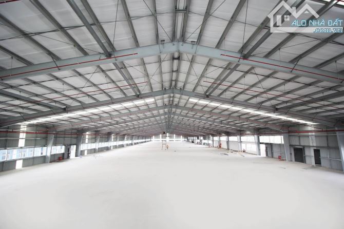 Bất động sản tại Bà Rịa - Vũng Tàu - ảnh 1