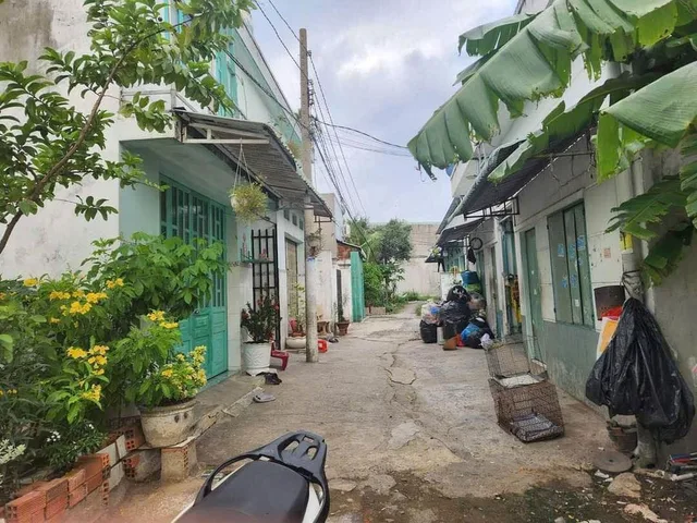 Bất động sản tại Long An - ảnh 1