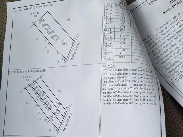 Bất động sản tại Lâm Đồng - ảnh 1