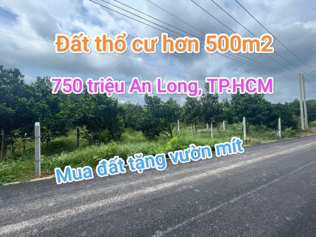Bất động sản tại TP. Hồ Chí Minh - ảnh 1