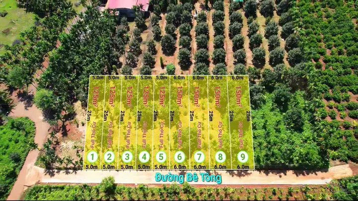 Bất động sản tại Đắk Lắk - ảnh 1