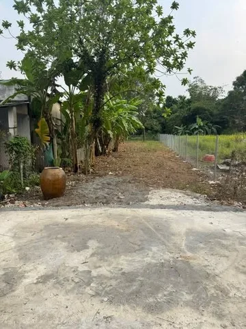Bất động sản tại Bình Dương - ảnh 1