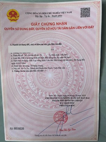 Bất động sản tại Đắk Lắk - ảnh 1