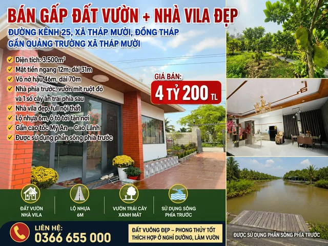 Bất động sản tại Đồng Tháp - ảnh 1