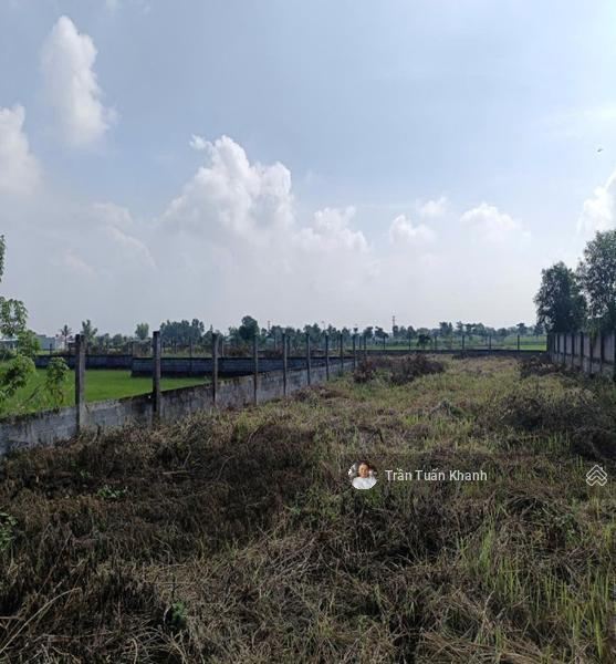 Bất động sản tại Long An - ảnh 1
