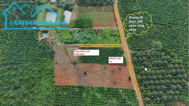 Bất động sản tại Lâm Đồng - ảnh 1