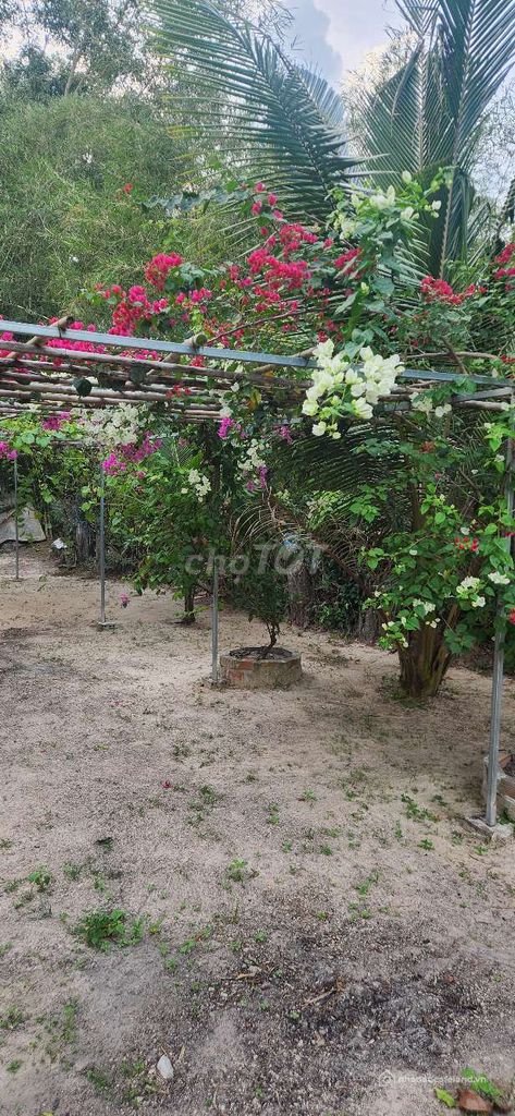 Bất động sản tại An Giang - ảnh 1