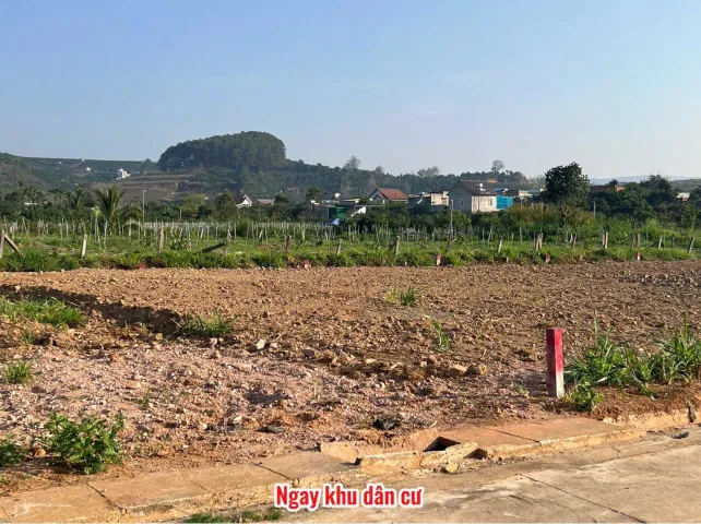 Bất động sản tại Lâm Đồng - ảnh 1